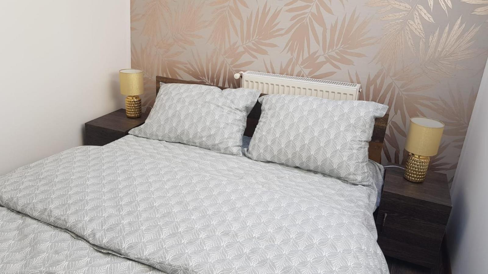 Cosy 2 Bedroom Apartment In New Town Braşov Dış mekan fotoğraf